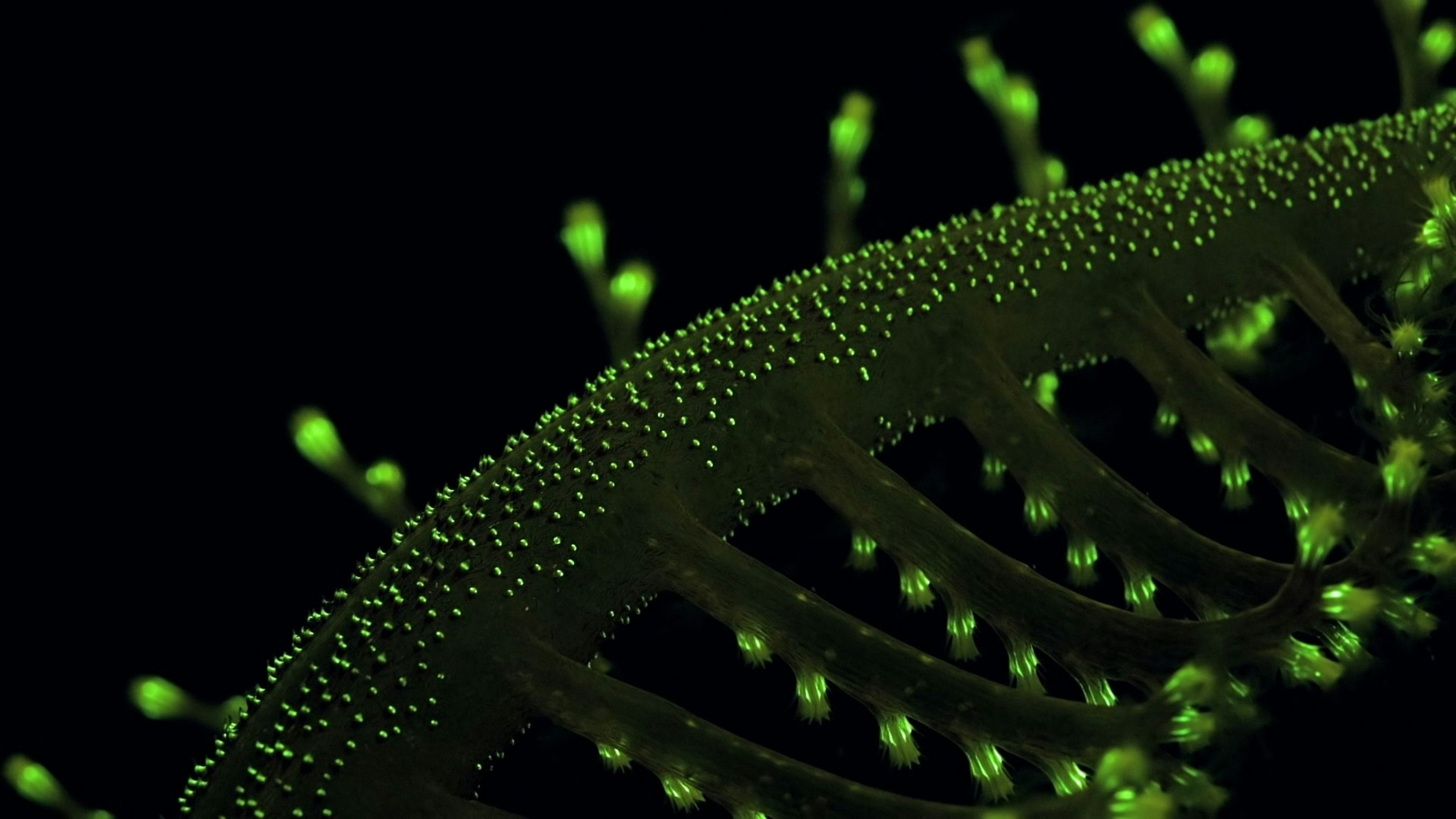 Synthetic biology research visualization